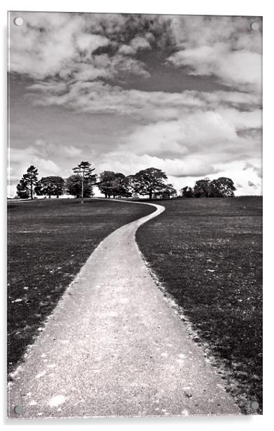 Stroll Down The Path Acrylic by Jim kernan