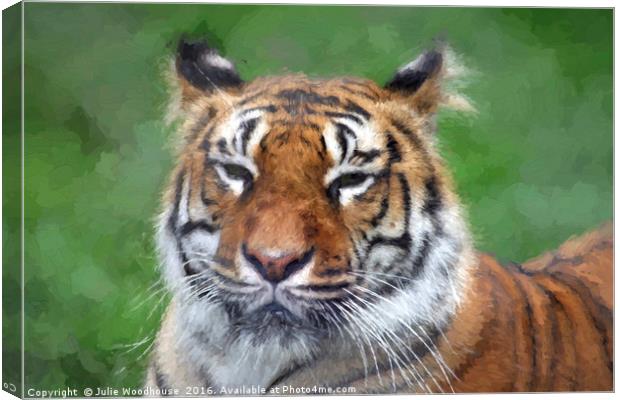 Amur Tiger Canvas Print by Julie Woodhouse