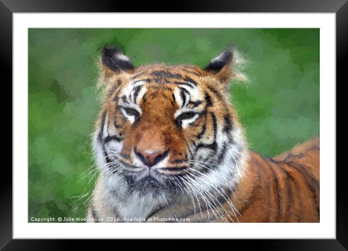Amur Tiger Framed Mounted Print by Julie Woodhouse