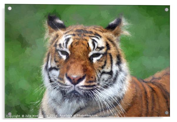 Amur Tiger Acrylic by Julie Woodhouse