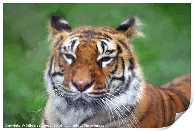Amur Tiger Print by Julie Woodhouse