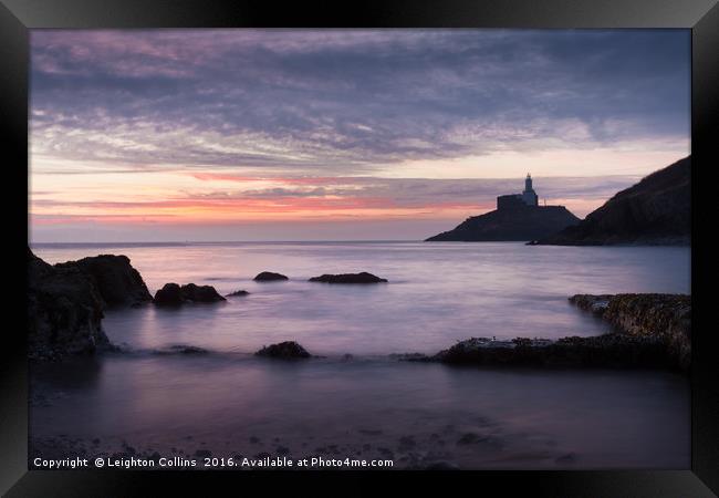 Good morning Mumbles Framed Print by Leighton Collins