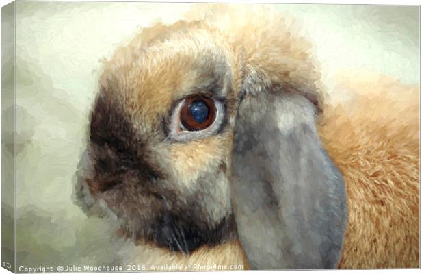 Lop eared dwarf rabbit Canvas Print by Julie Woodhouse