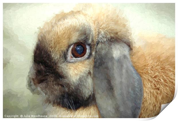 Lop eared dwarf rabbit Print by Julie Woodhouse