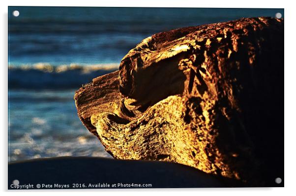 Driftwood Dog  Acrylic by Pete Moyes