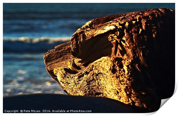 Driftwood Dog  Print by Pete Moyes