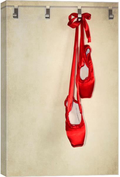 Ballet Shoes Canvas Print by Svetlana Sewell