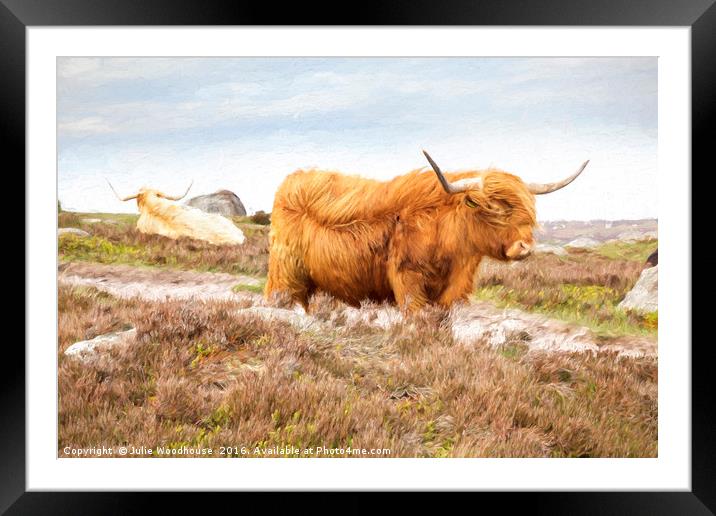 Highland Cattle Framed Mounted Print by Julie Woodhouse