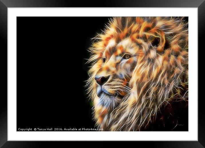 The Lion Framed Mounted Print by Tanya Hall