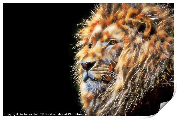 The Lion Print by Tanya Hall