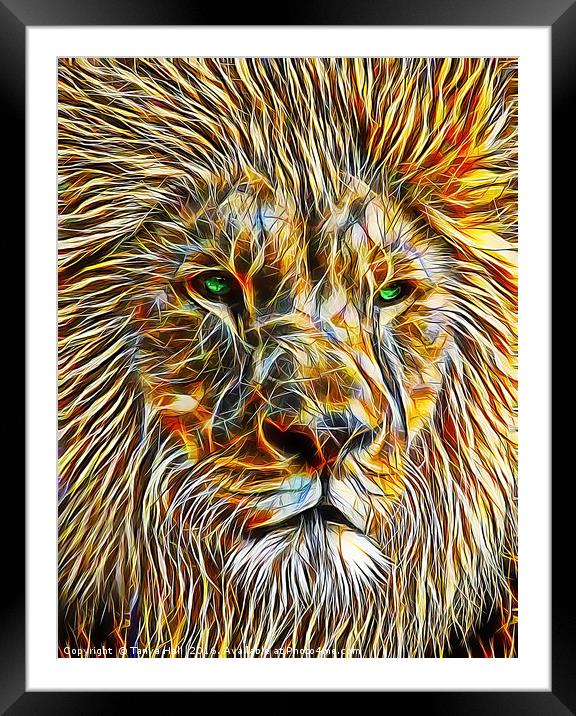 The Majestic Lion Framed Mounted Print by Tanya Hall