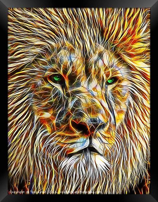 The Majestic Lion Framed Print by Tanya Hall