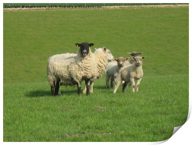 Sheep with Lambs Print by angela morris