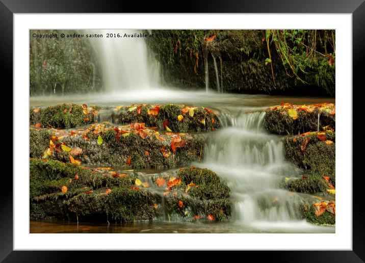WASHING AUTUMN Framed Mounted Print by andrew saxton