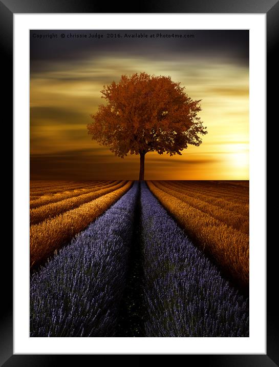 The  tree  Framed Mounted Print by Heaven's Gift xxx68