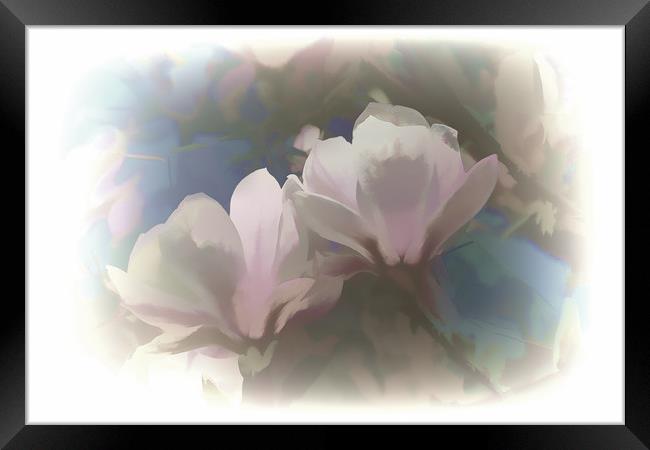 Soft Magnolia Framed Print by Lynn Carter