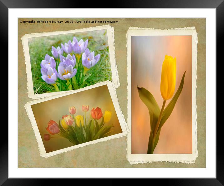 Visions of Springtime Framed Mounted Print by Robert Murray
