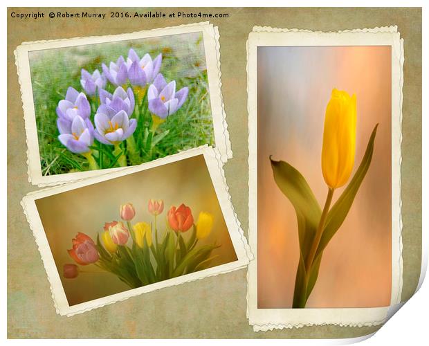 Visions of Springtime Print by Robert Murray
