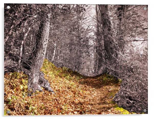 woodland walk Acrylic by paul ratcliffe