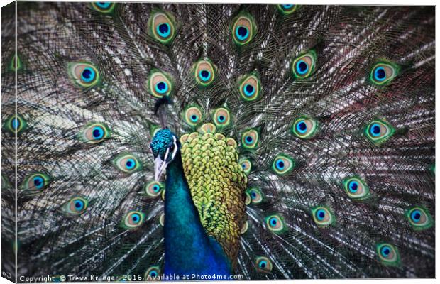 Blue and Green Canvas Print by Treva Krueger
