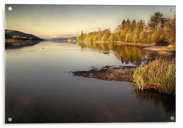 Coniston Water as the sun rises Acrylic by Stephen Mole