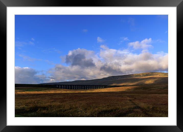 Yorkshire Dales  Framed Mounted Print by chris smith