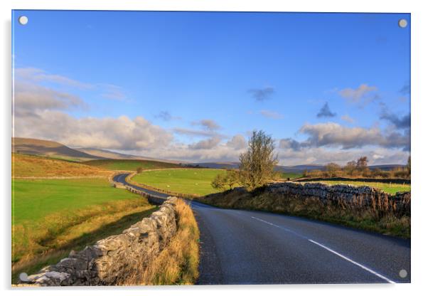 Yorkshire Dales  Acrylic by chris smith