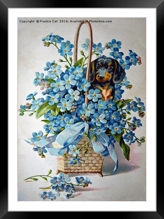 Dachshund and Forget-me-nots Framed Mounted Print by Frankie Cat