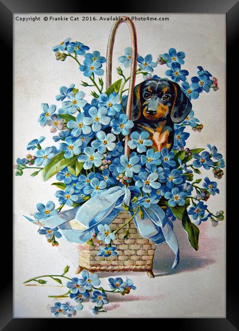 Dachshund and Forget-me-nots Framed Print by Frankie Cat