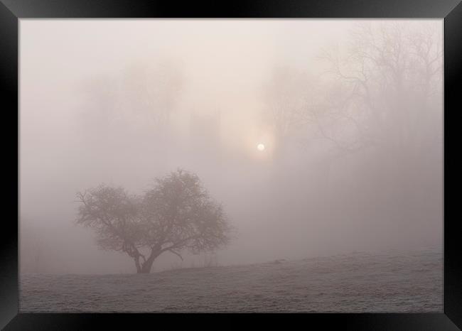 Sunrise through fog behind Hilborough Church. Norf Framed Print by Liam Grant