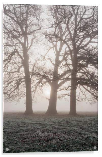 Trees in a frost covered field on a foggy morning. Acrylic by Liam Grant