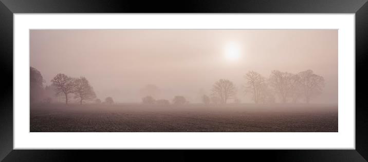 Sun rising through fog above a row of trees. Norfo Framed Mounted Print by Liam Grant