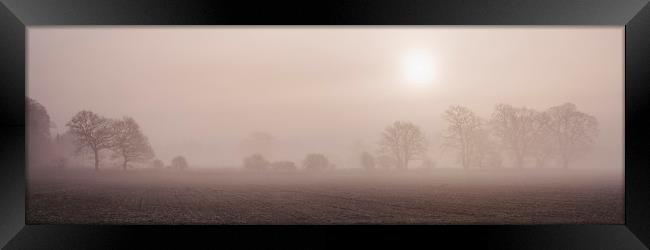 Sun rising through fog above a row of trees. Norfo Framed Print by Liam Grant