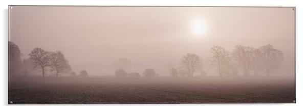 Sun rising through fog above a row of trees. Norfo Acrylic by Liam Grant