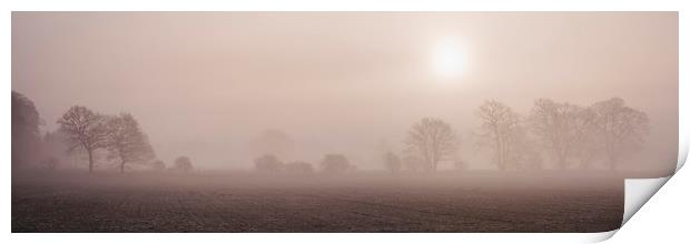 Sun rising through fog above a row of trees. Norfo Print by Liam Grant