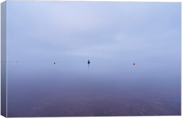 Cloudy sky a bouys reflected in a calm ocean at tw Canvas Print by Liam Grant
