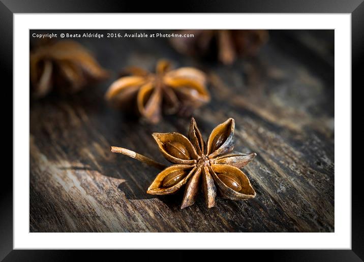 Star anise Framed Mounted Print by Beata Aldridge