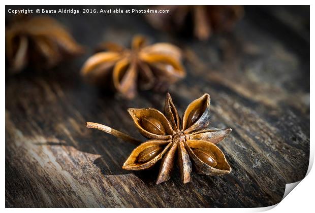 Star anise Print by Beata Aldridge