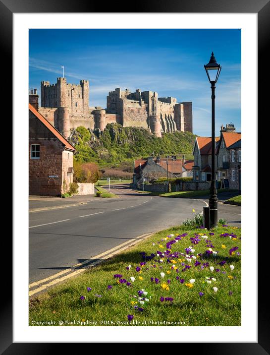 Beautiful Blooming Bamburgh Framed Mounted Print by Paul Appleby