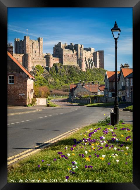 Beautiful Blooming Bamburgh Framed Print by Paul Appleby