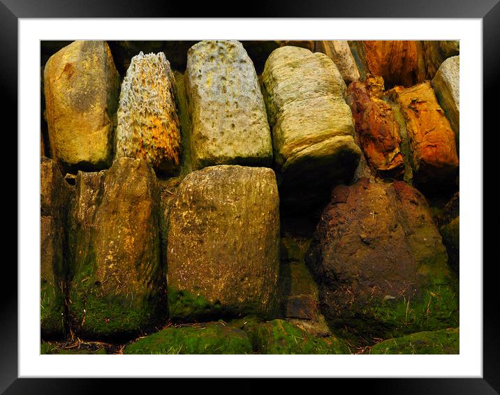 Stone Wall Framed Mounted Print by Victor Burnside