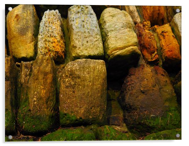 Stone Wall Acrylic by Victor Burnside