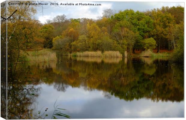 Wake Valley Pond Epping Canvas Print by Diana Mower