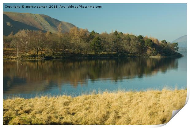 BEAUTIFUL DAY Print by andrew saxton