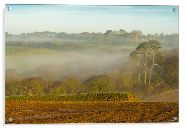 Misty Dawn Acrylic by Michael Brookes