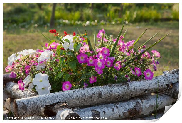 Flowers  Print by Vladimir Sidoropolev