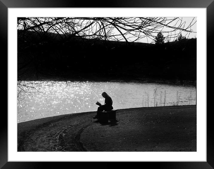 Lakeside seat Framed Mounted Print by Derrick Fox Lomax