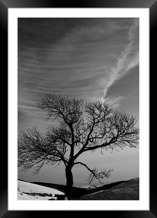 Lonely tree under great sky Framed Mounted Print by Gabor Pozsgai