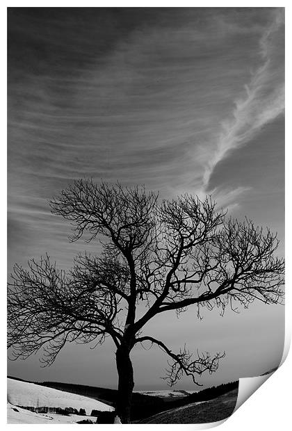Lonely tree under great sky Print by Gabor Pozsgai