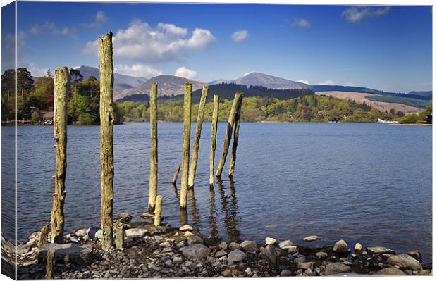 Old wooden poles on Derwent Water Canvas Print by Stephen Mole